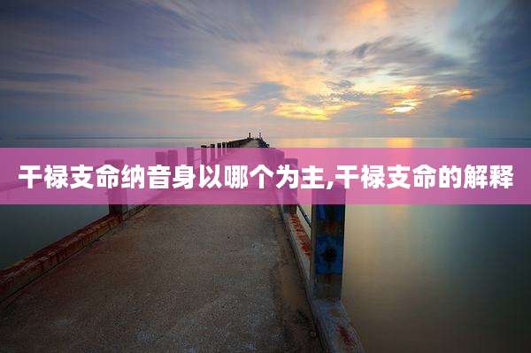干禄支命纳音身以哪个为主,干禄支命的解释