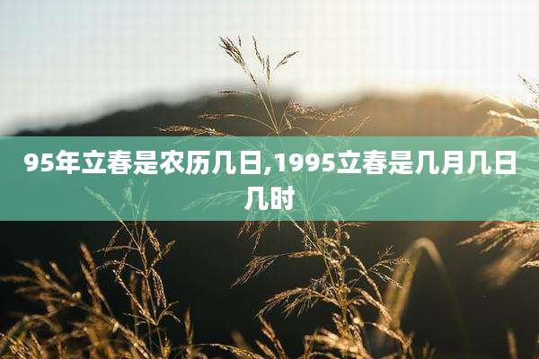 95年立春是农历几日,1995立春是几月几日几时