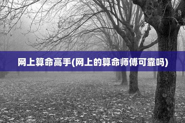 网上算命高手(网上的算命师傅可靠吗)