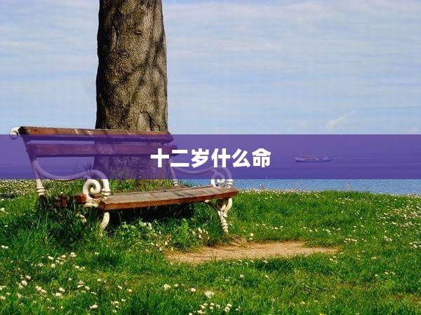 十二岁什么命