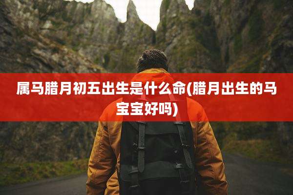 属马腊月初五出生是什么命(腊月出生的马宝宝好吗)