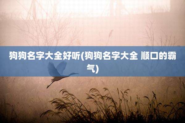 狗狗名字大全好听(狗狗名字大全 顺口的霸气)