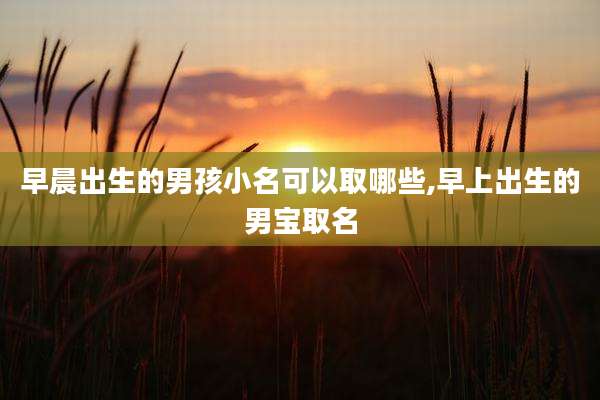 早晨出生的男孩小名可以取哪些,早上出生的男宝取名