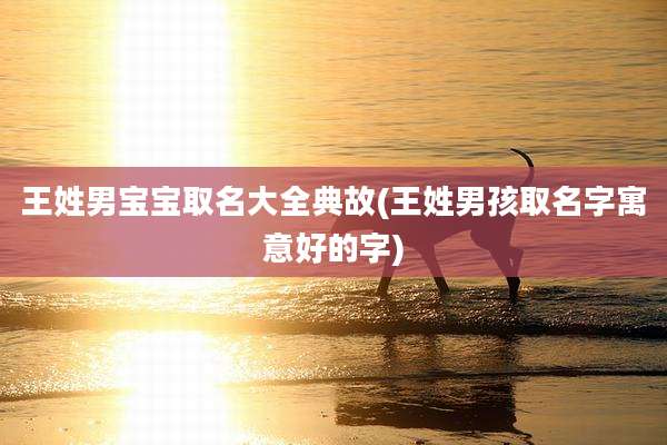 王姓男宝宝取名大全典故(王姓男孩取名字寓意好的字)