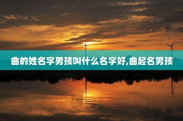 曲的姓名字男孩叫什么名字好,曲起名男孩