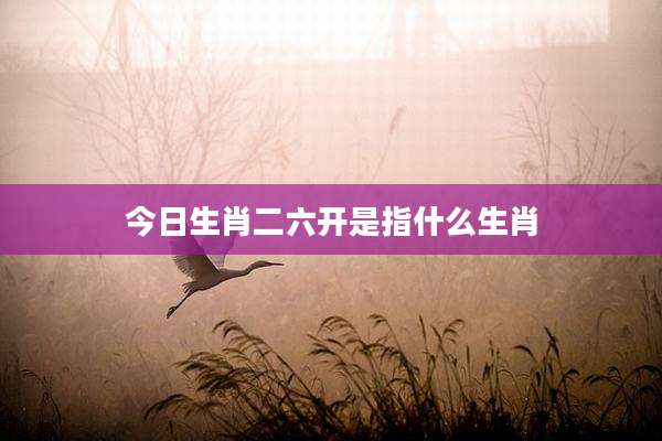 今日生肖二六开是指什么生肖