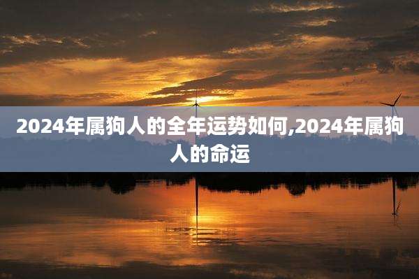 2024年属狗人的全年运势如何,2024年属狗人的命运