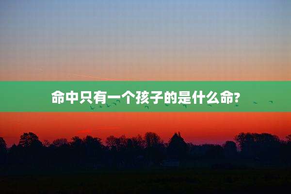 命中只有一个孩子的是什么命?