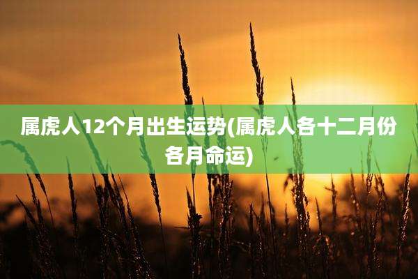 属虎人12个月出生运势(属虎人各十二月份各月命运)