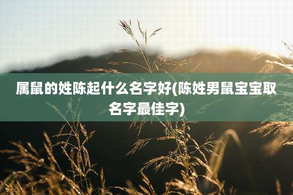 属鼠的姓陈起什么名字好(陈姓男鼠宝宝取名字最佳字)
