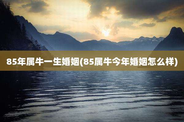 85年属牛一生婚姻(85属牛今年婚姻怎么样)
