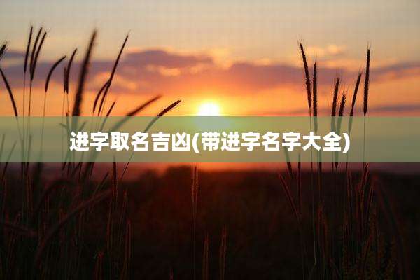 进字取名吉凶(带进字名字大全)