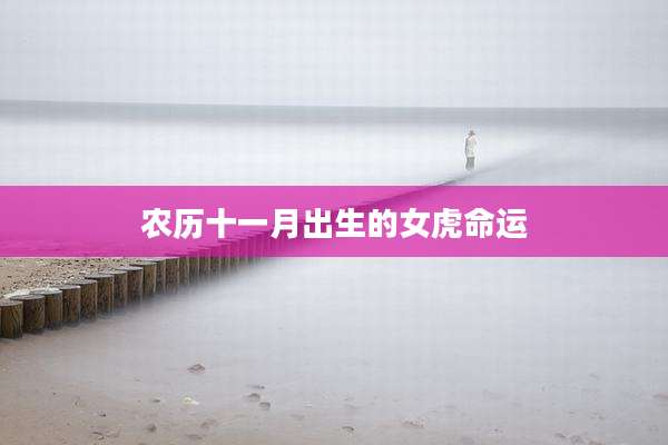 农历十一月出生的女虎命运
