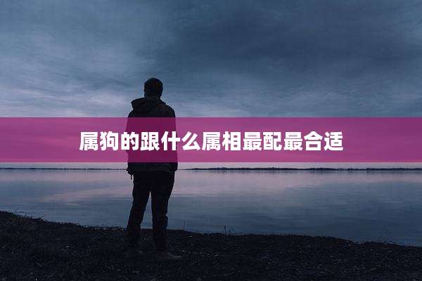 属狗的跟什么属相最配最合适