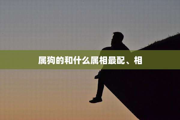 属狗的和什么属相最配、相