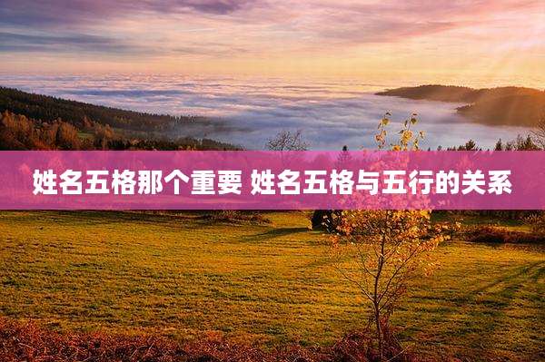 姓名五格那个重要 姓名五格与五行的关系