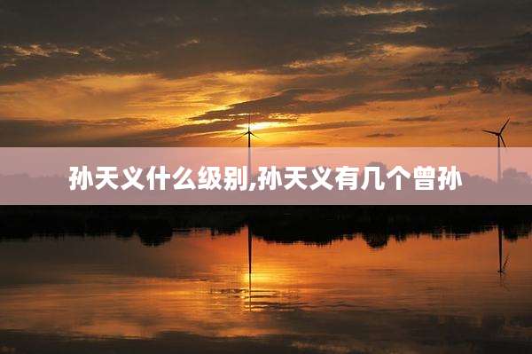 孙天义什么级别,孙天义有几个曾孙