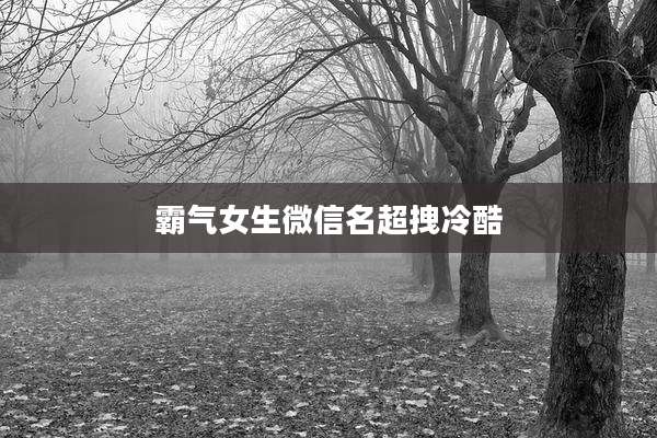 霸气女生微信名超拽冷酷