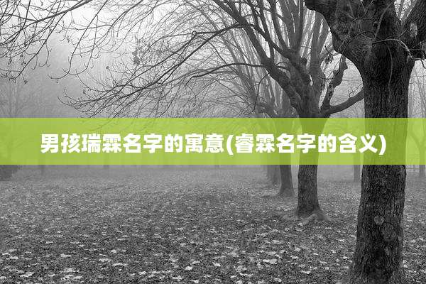 男孩瑞霖名字的寓意(睿霖名字的含义)