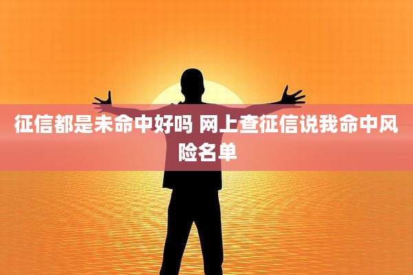 征信都是未命中好吗 网上查征信说我命中风险名单