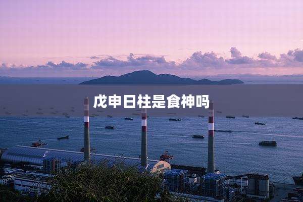 戊申日柱是食神吗