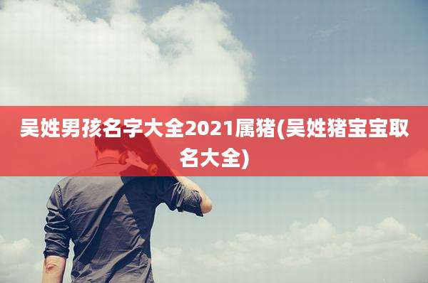 吴姓男孩名字大全2021属猪(吴姓猪宝宝取名大全)