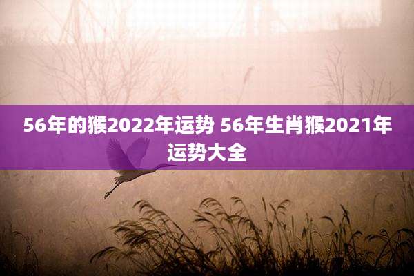56年的猴2022年运势 56年生肖猴2021年运势大全