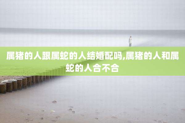 属猪的人跟属蛇的人结婚配吗,属猪的人和属蛇的人合不合