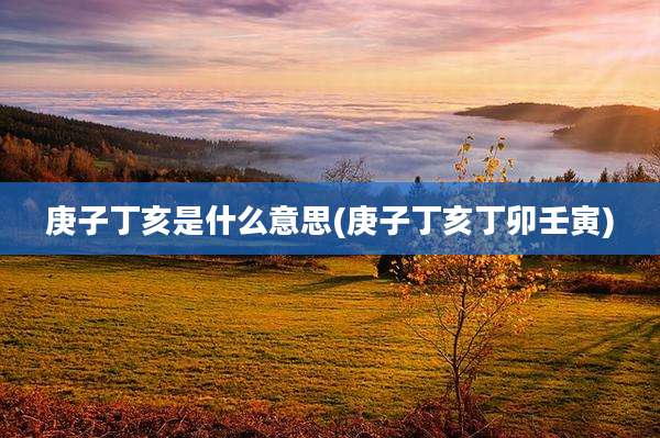 庚子丁亥是什么意思(庚子丁亥丁卯壬寅)