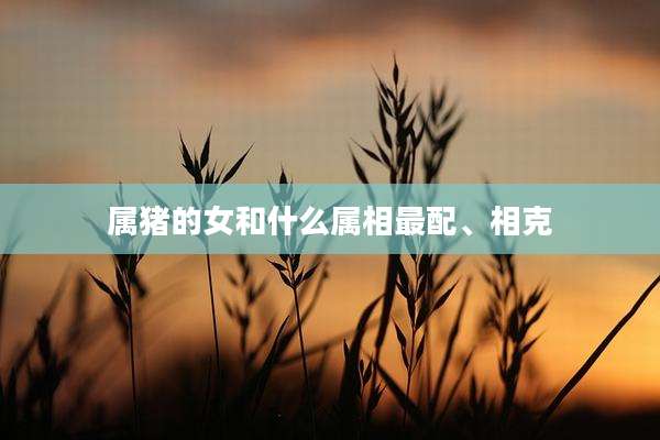 属猪的女和什么属相最配、相克