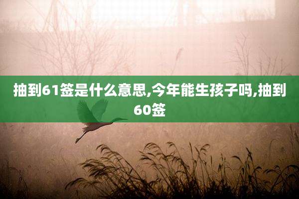 抽到61签是什么意思,今年能生孩子吗,抽到60签