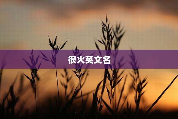 很火英文名