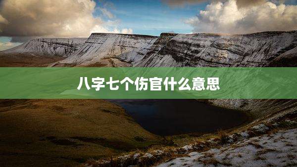 八字七个伤官什么意思
