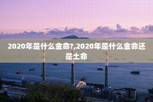 2020年是什么金命?,2020年是什么金命还是土命