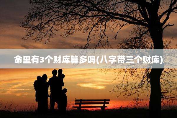 命里有3个财库算多吗(八字带三个财库)