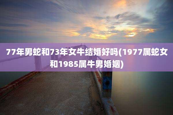 77年男蛇和73年女牛结婚好吗(1977属蛇女和1985属牛男婚姻)