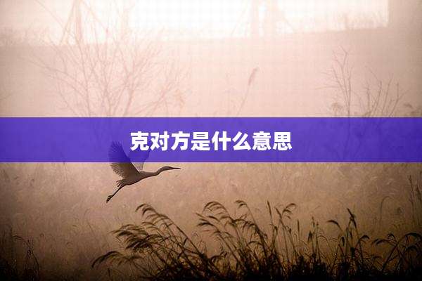 克对方是什么意思