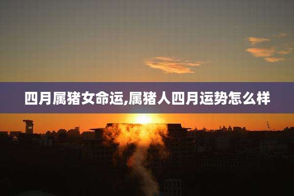 四月属猪女命运,属猪人四月运势怎么样