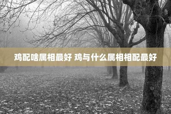 鸡配啥属相最好 鸡与什么属相相配最好