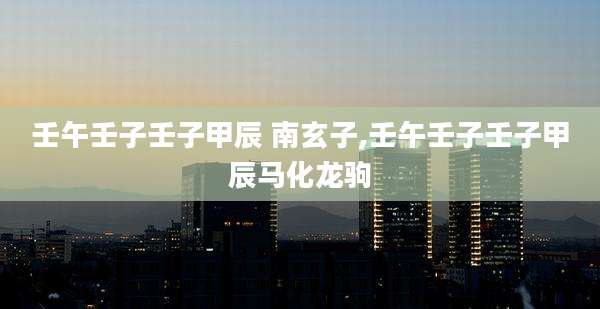 壬午壬子壬子甲辰 南玄子,壬午壬子壬子甲辰马化龙驹