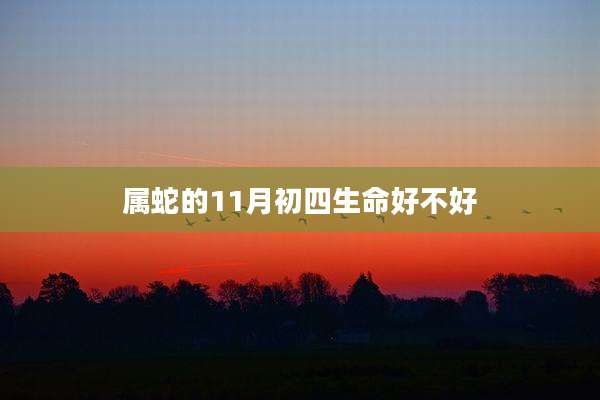 属蛇的11月初四生命好不好