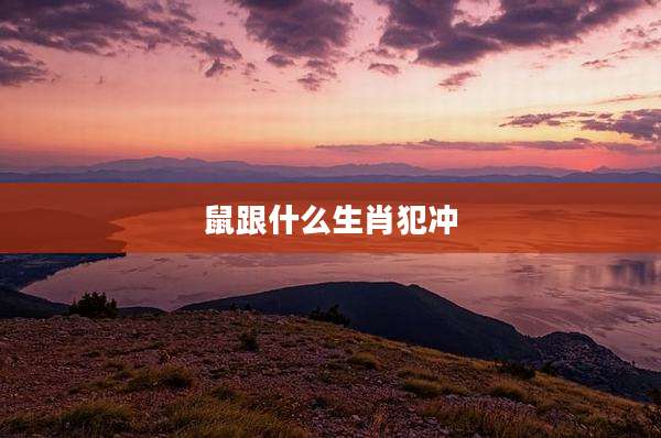 鼠跟什么生肖犯冲