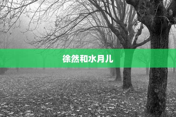 徐然和水月儿
