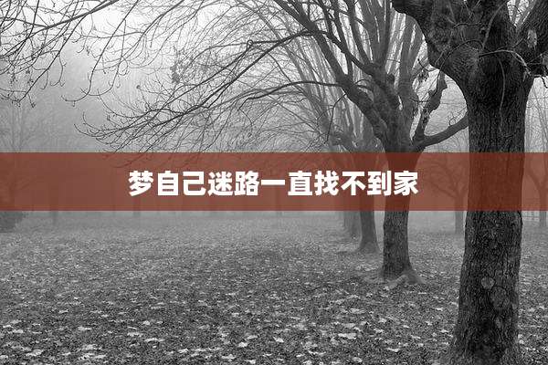 梦自己迷路一直找不到家