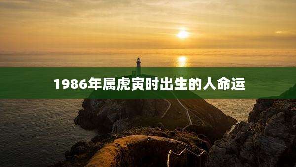 1986年属虎寅时出生的人命运