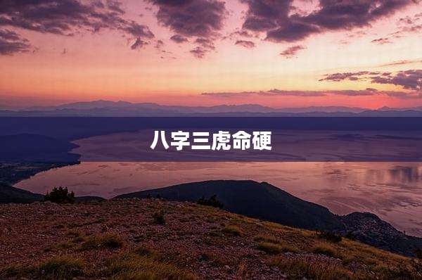 八字三虎命硬