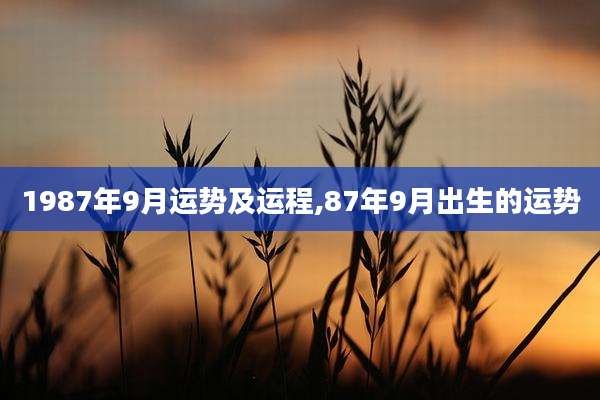 1987年9月运势及运程,87年9月出生的运势