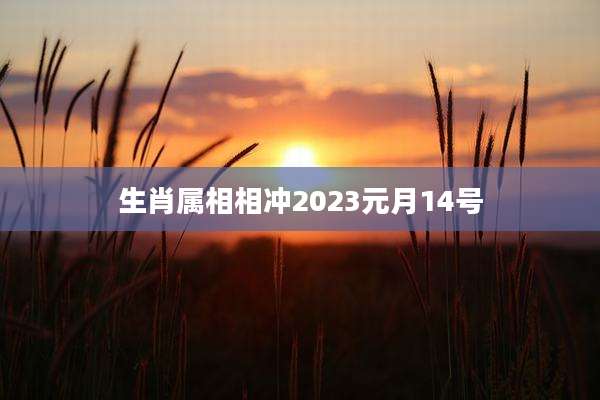 生肖属相相冲2023元月14号