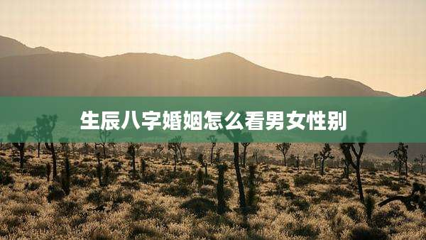 生辰八字婚姻怎么看男女性别