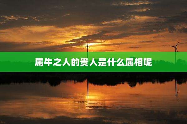 属牛之人的贵人是什么属相呢
